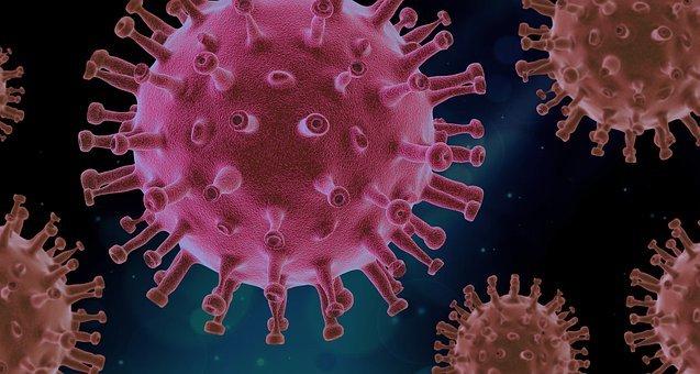 virus-4937553_340.jpg El Institut Guttmann forma parte de la primera Unidad funcional de Covid persistente pediátrico de Cataluña.